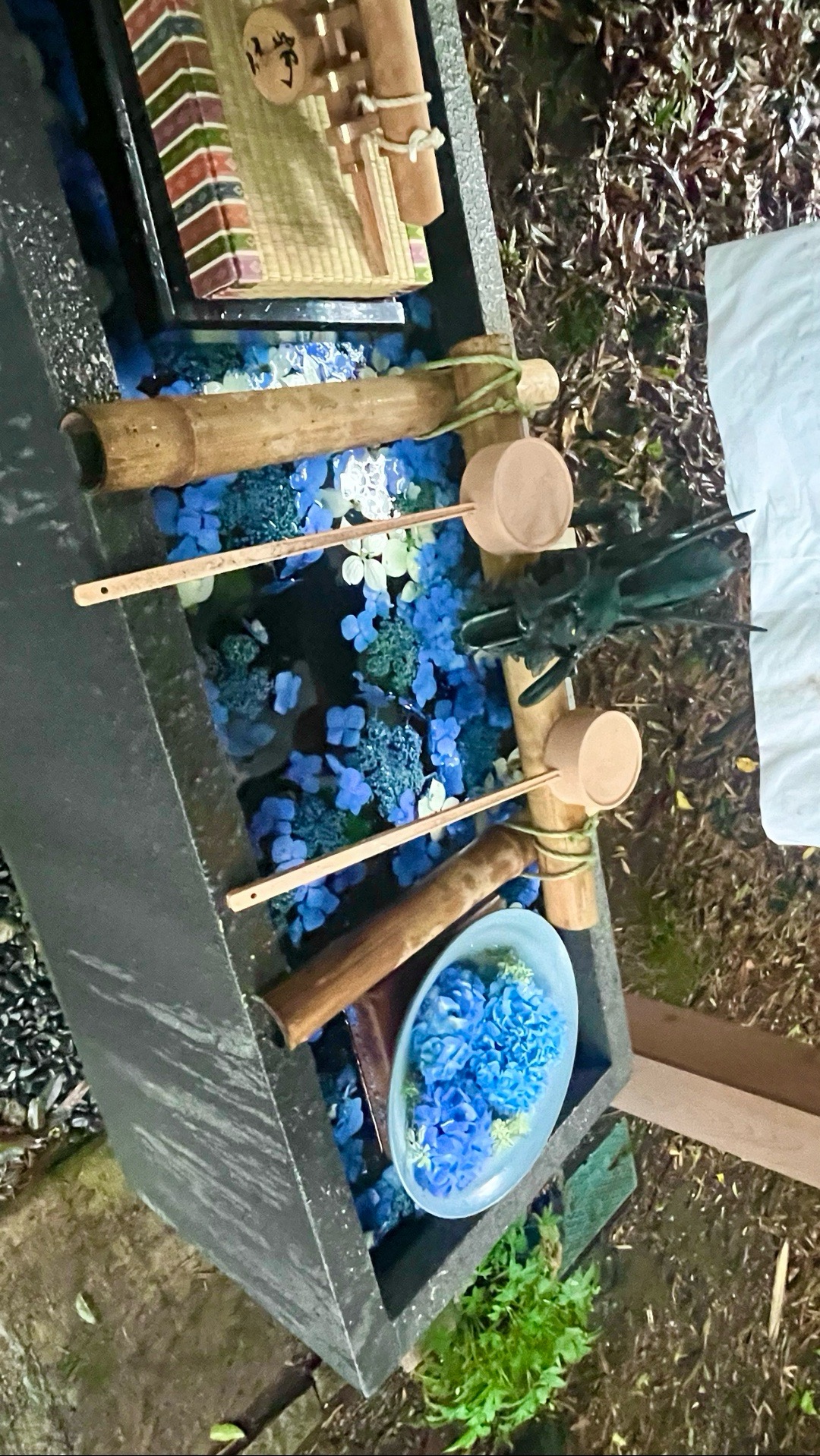 Hoshimiya Jinja 1