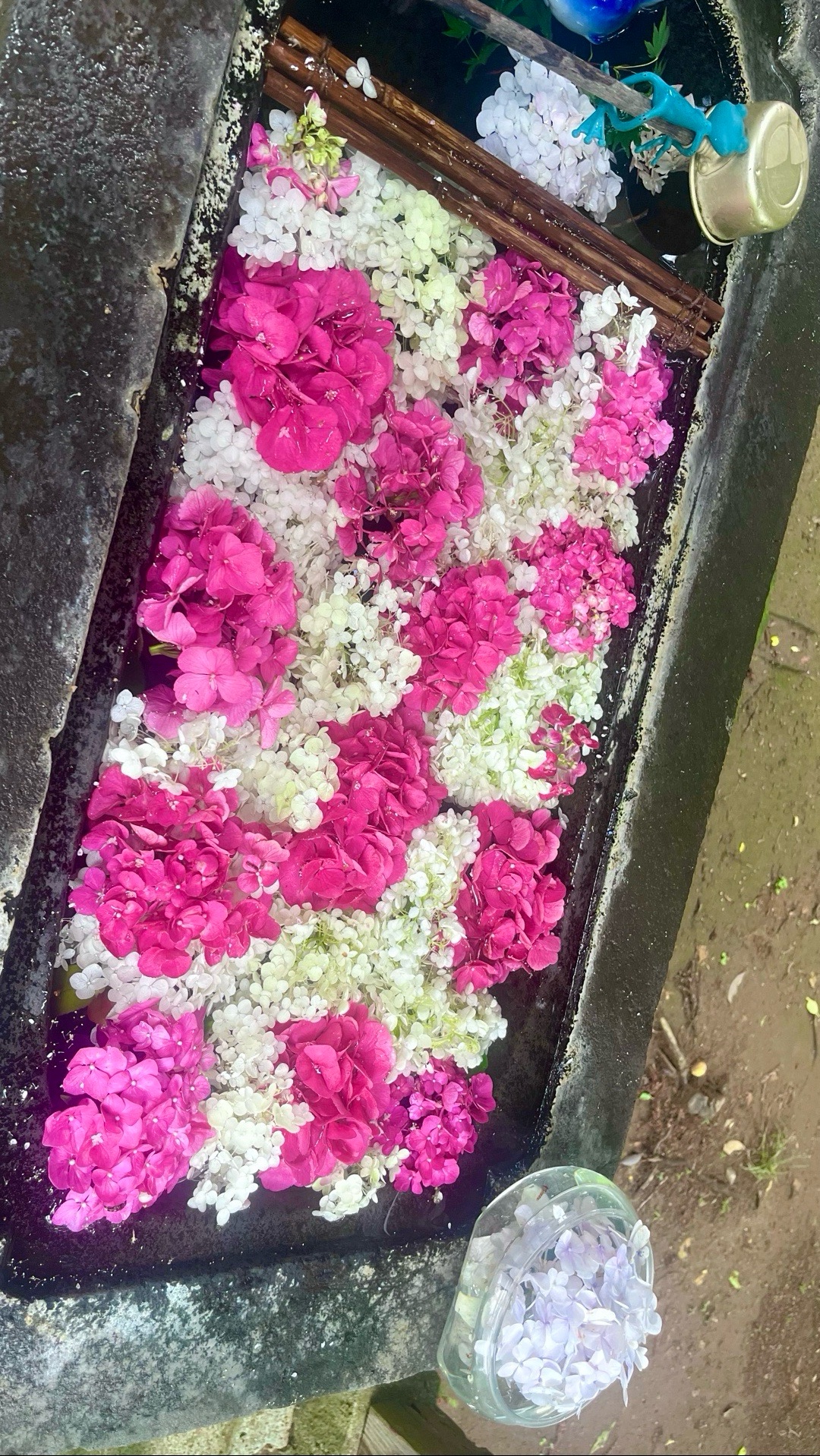 千代ヶ岡八幡宮 2