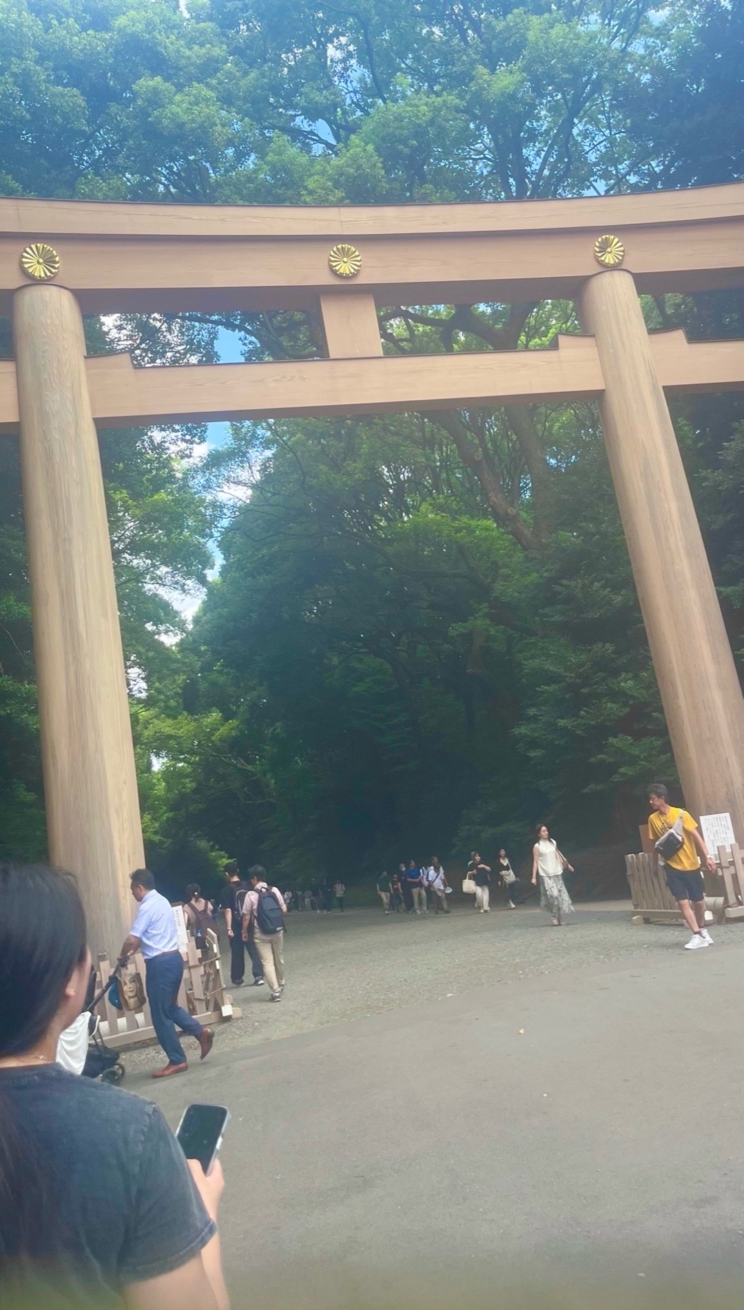 明治神宮 4