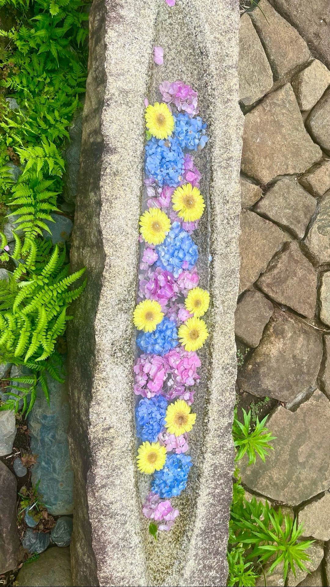 法輪寺 8