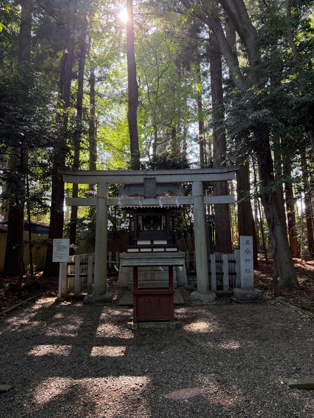 Tokiwa Jinja 4