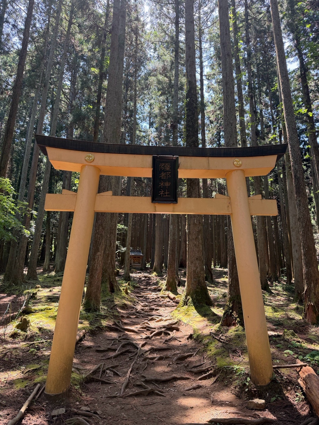 御岩神社 6