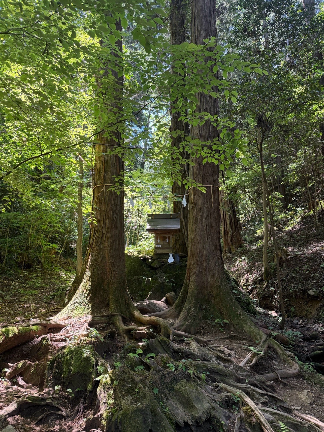 御岩神社