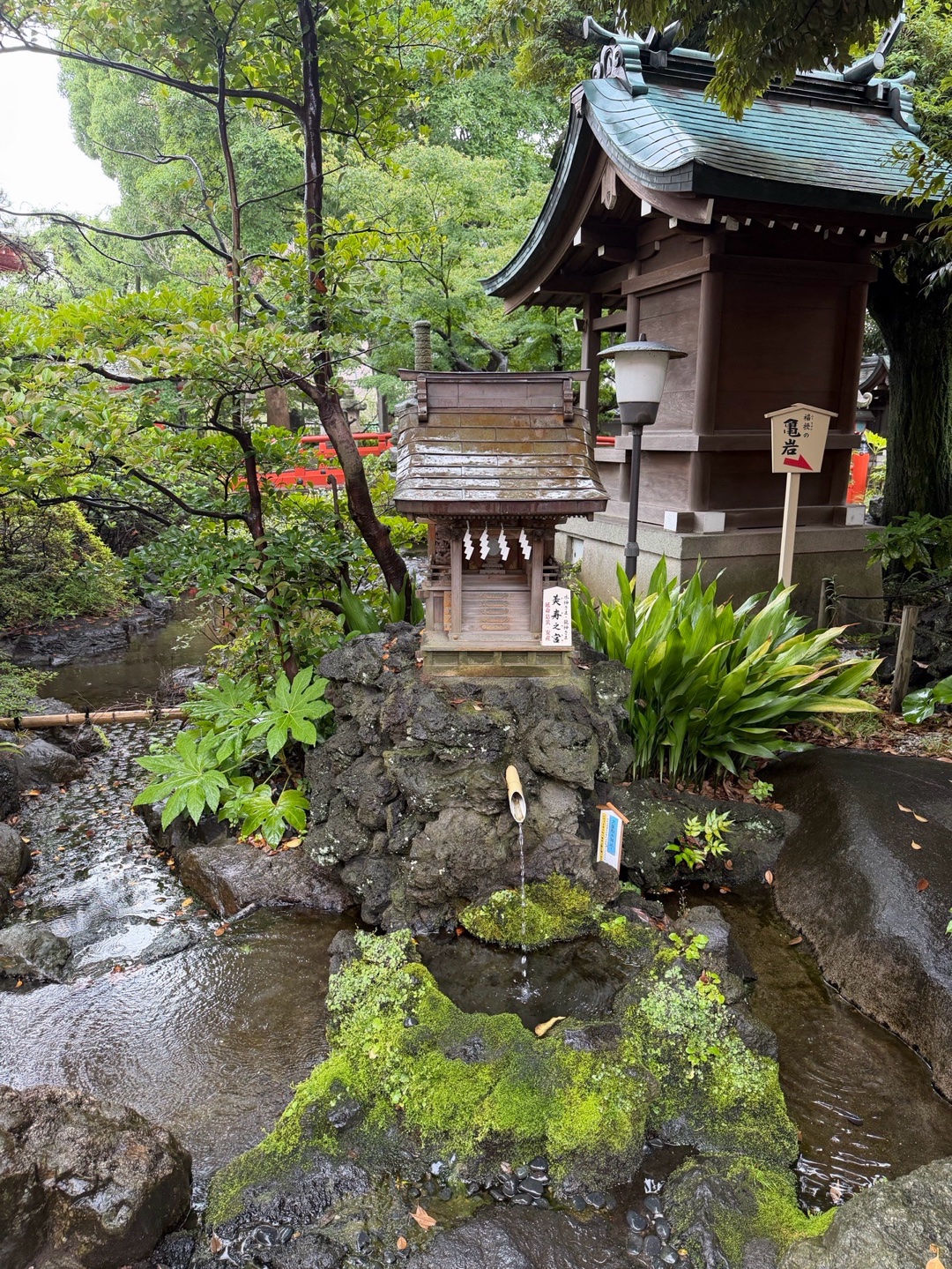 Chiba Jinja 3
