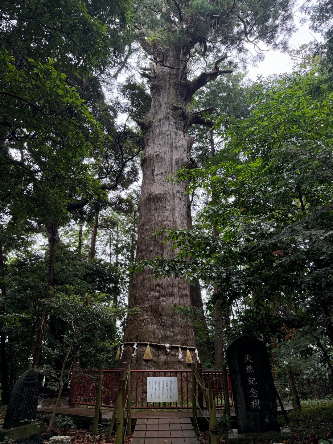 麻賀多神社 2