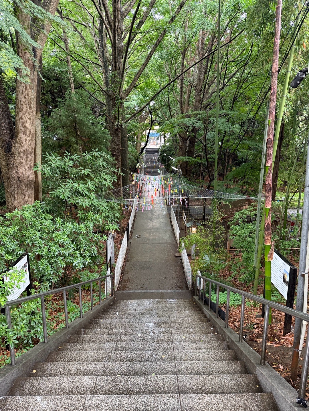 Ninomiya Jinja 1