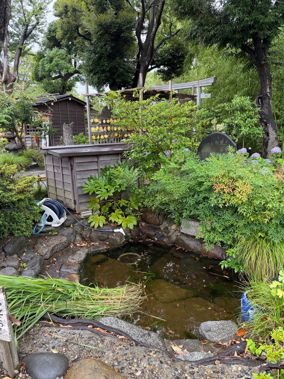 菊田神社 6