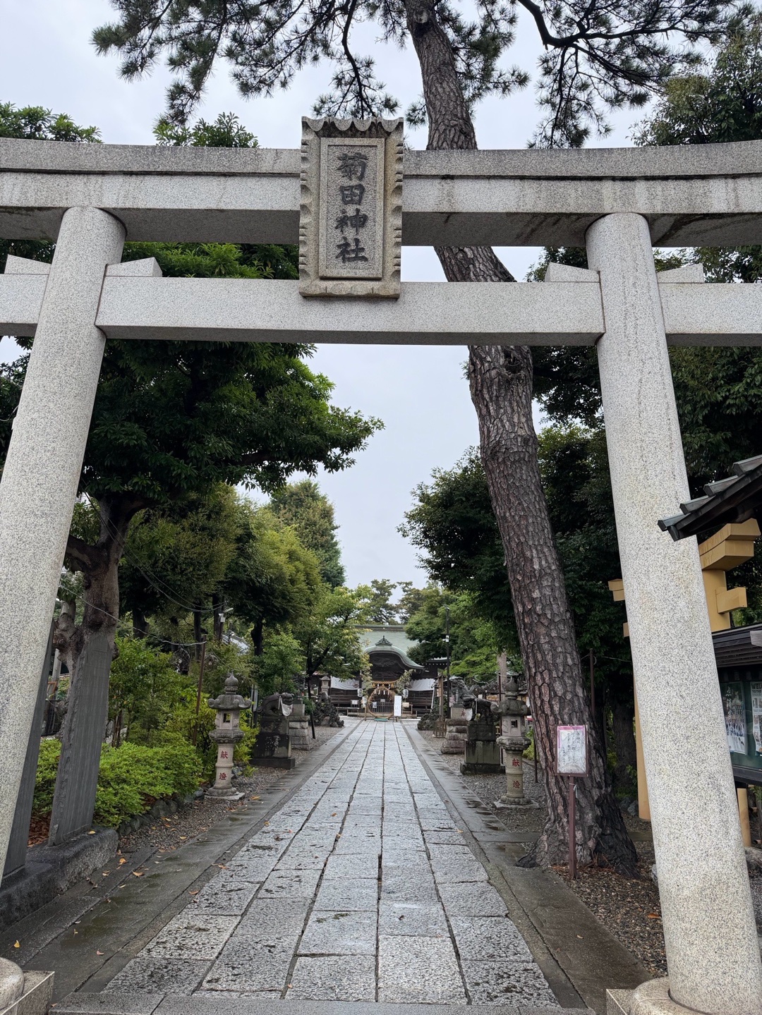 菊田神社 2