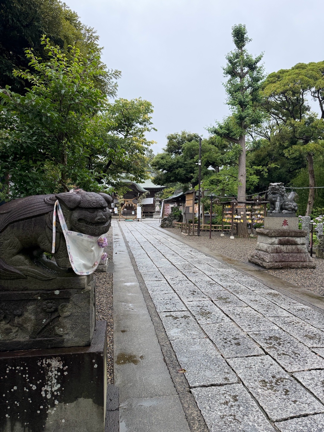 菊田神社 4