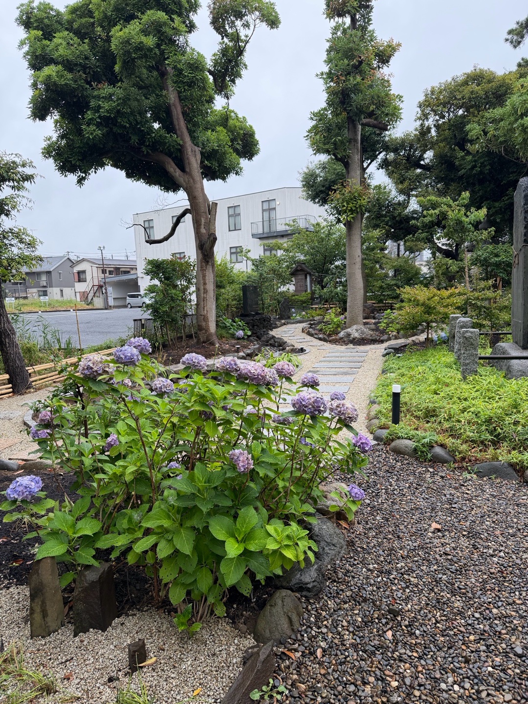菊田神社 5