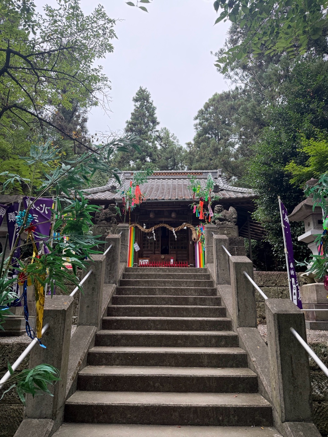 下野 星宮神社 5