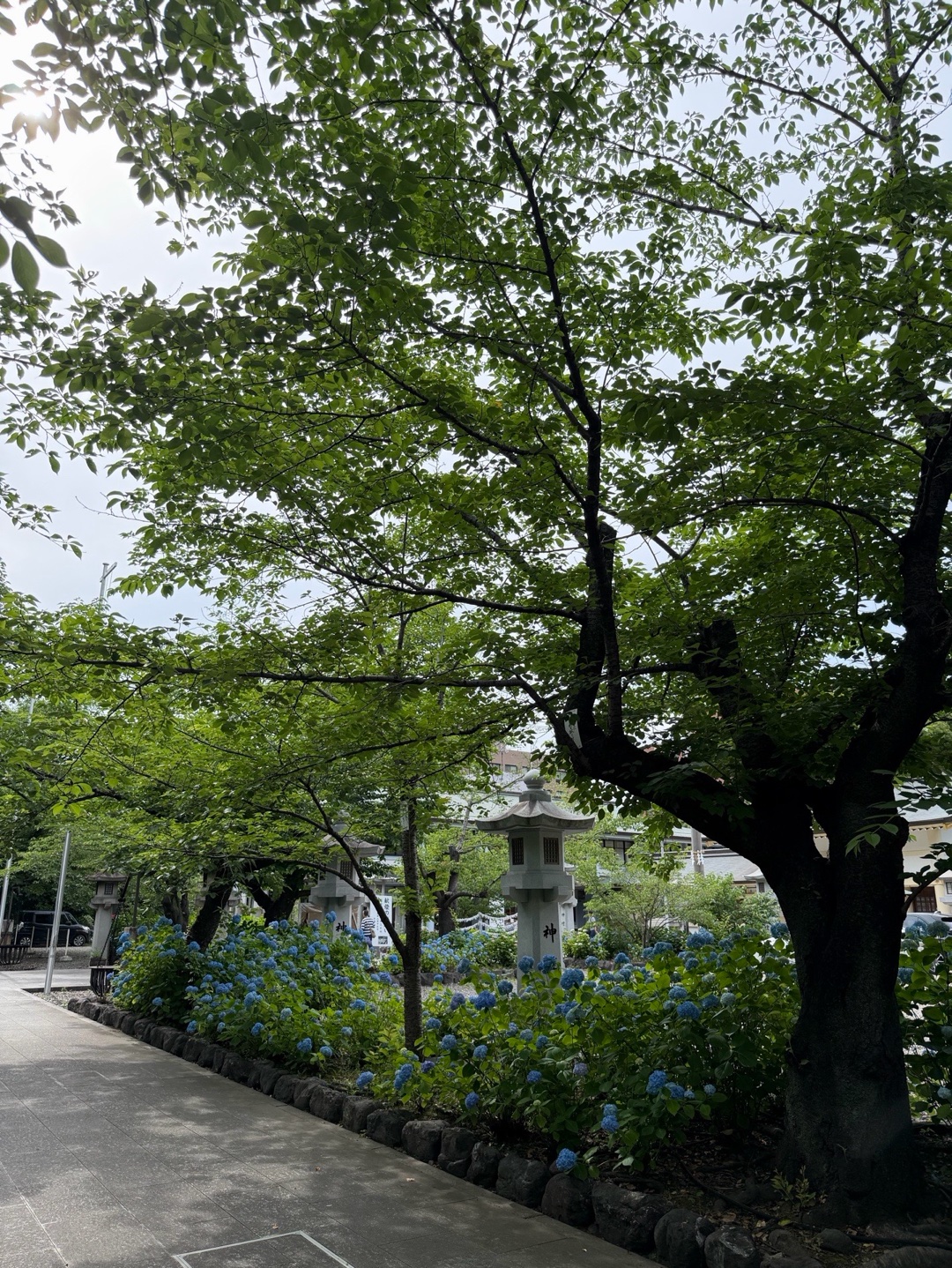 Aichi-ken Gokoku Jinja