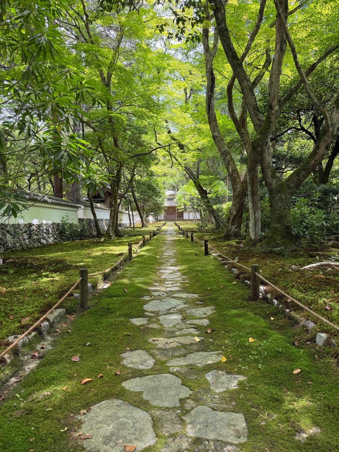 西芳寺 1