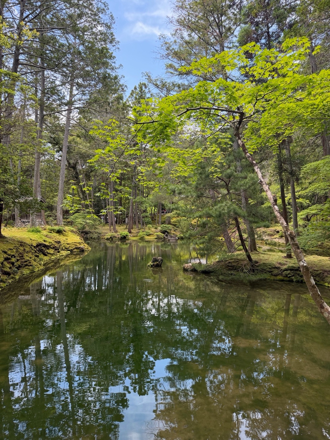 西芳寺