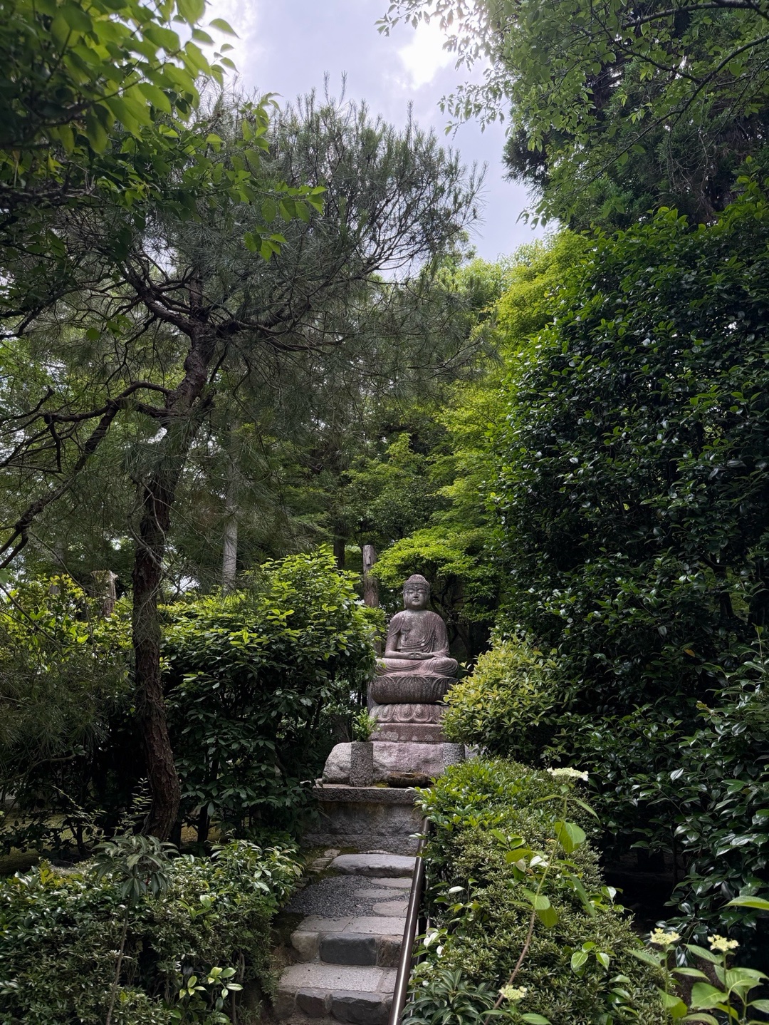 龍安寺の写真 3