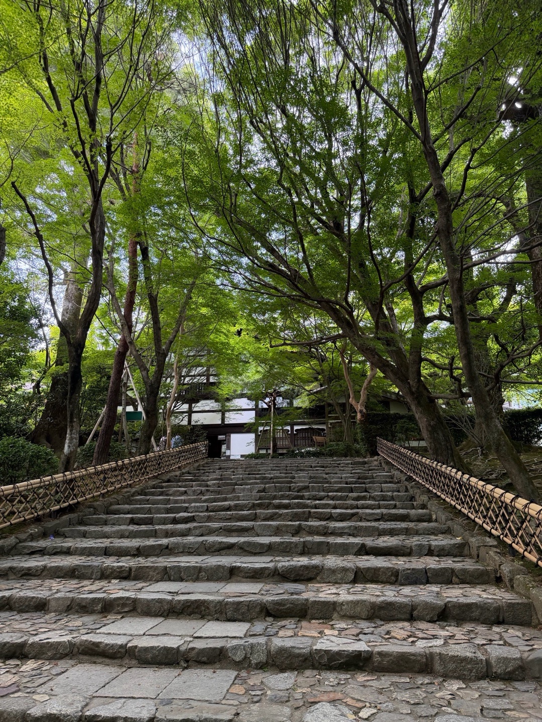 龍安寺の写真 4