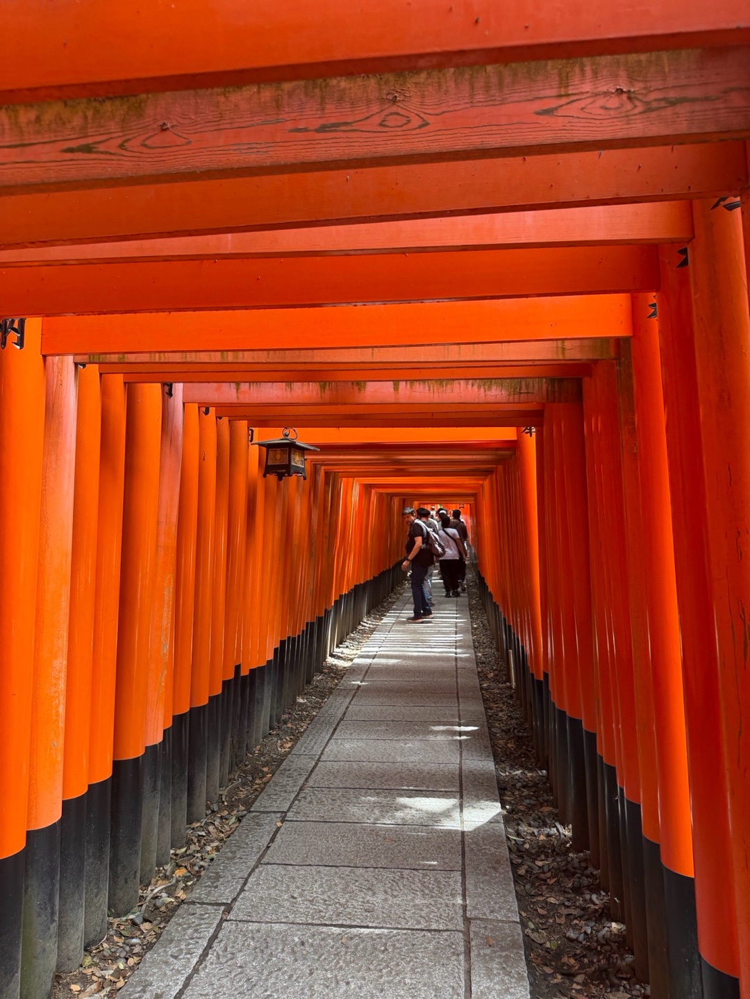 Fushimi Inari Taisha 2