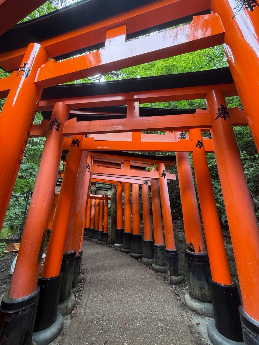 Fushimi Inari Taisha 3