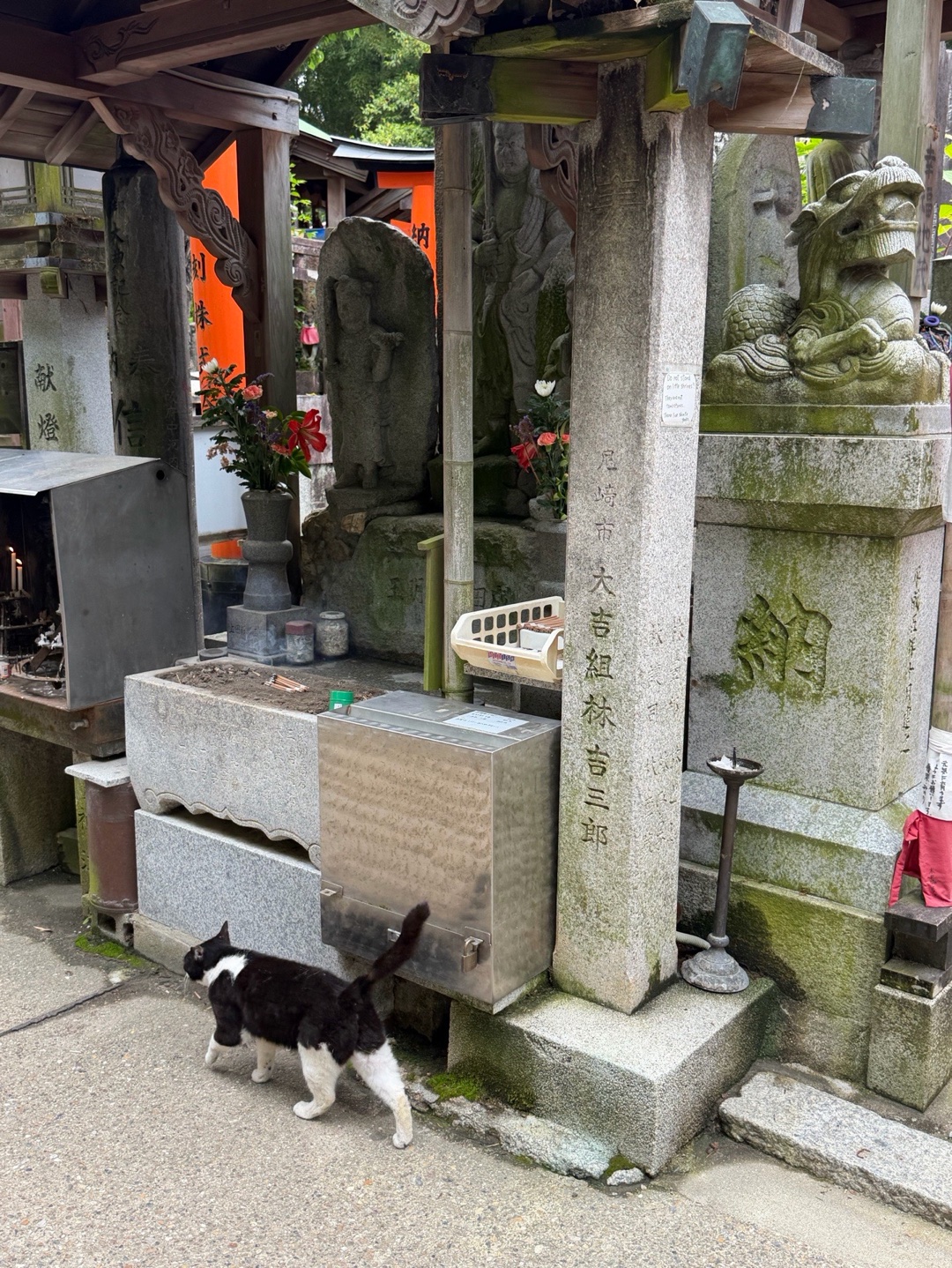 Fushimi Inari Taisha 4