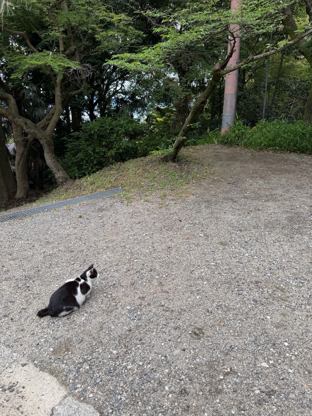 伏見稲荷大社