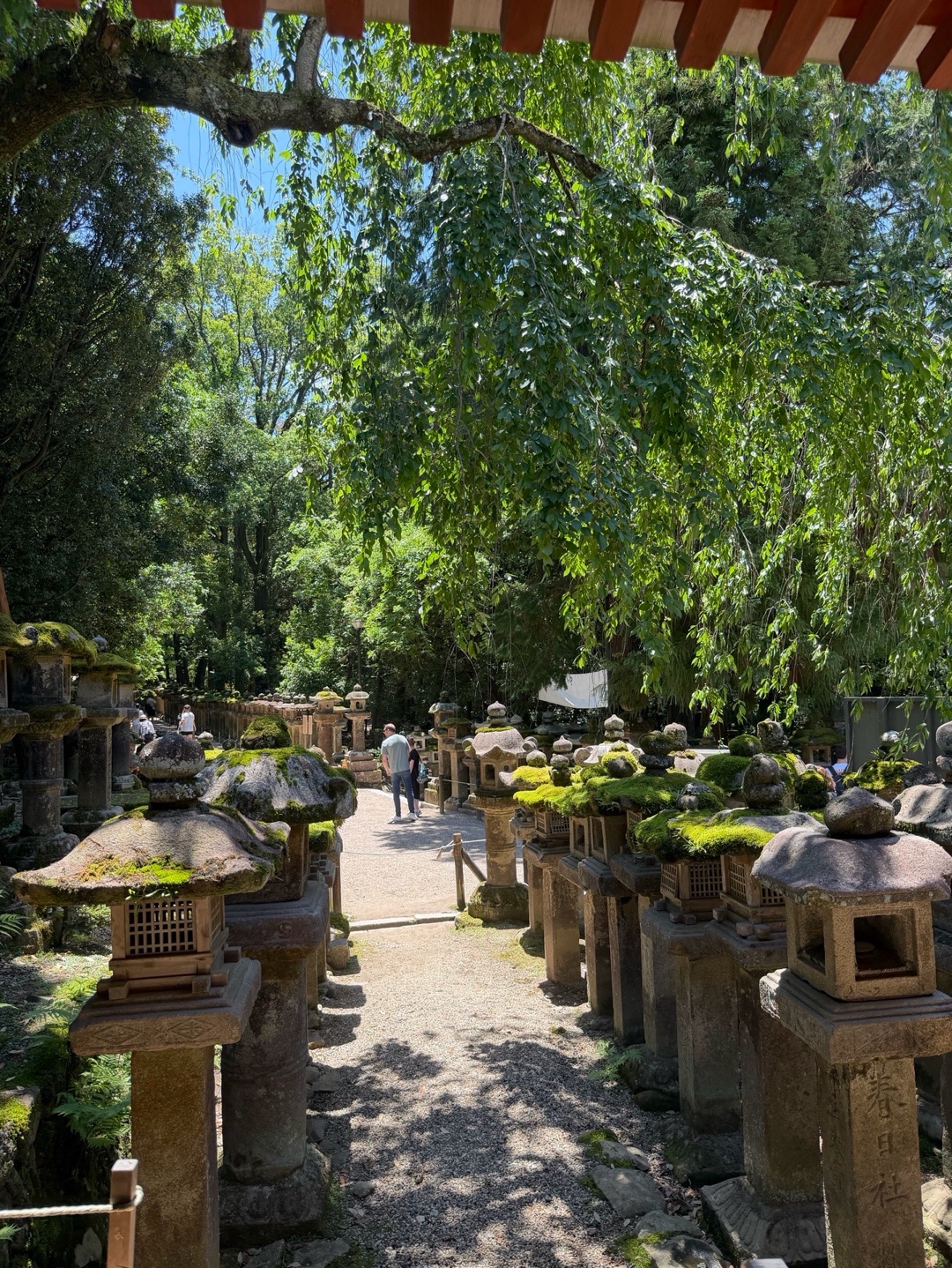 春日大社 5