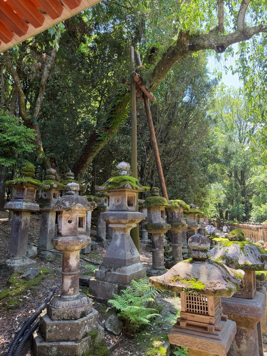 Kasuga Taisha