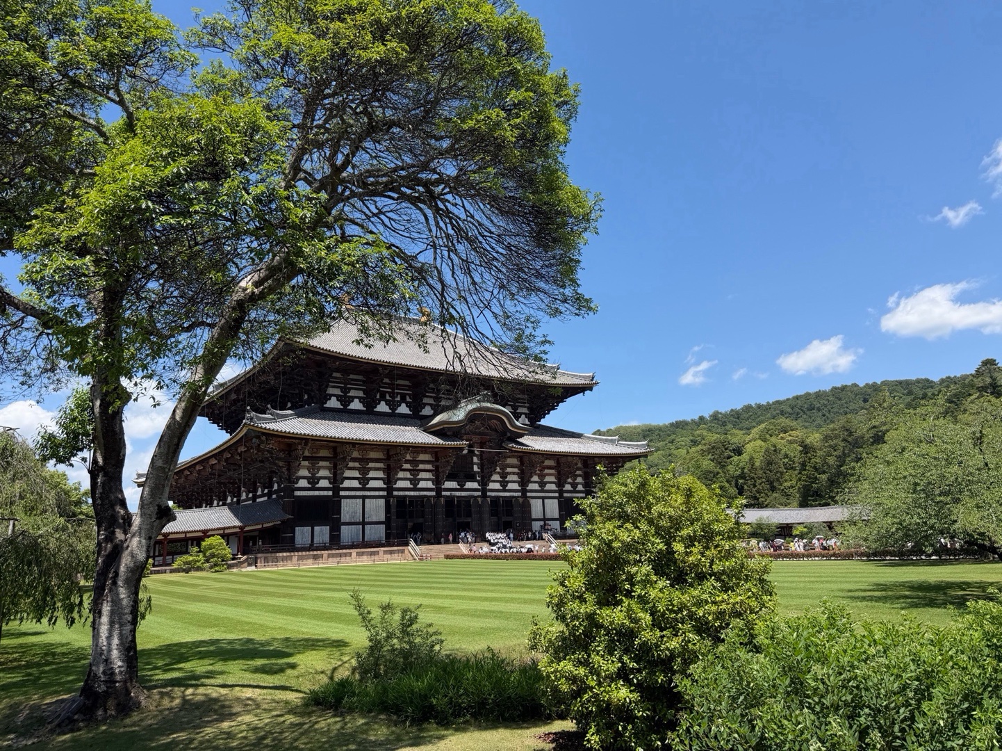 東大寺 5