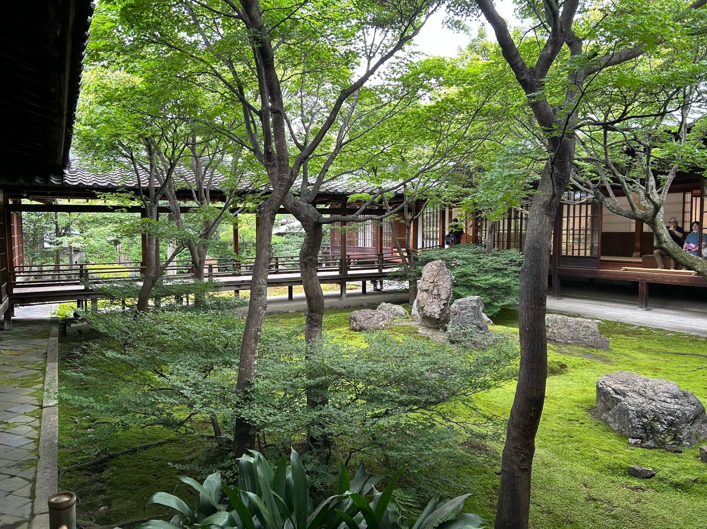 建仁寺（建仁禅寺） 3