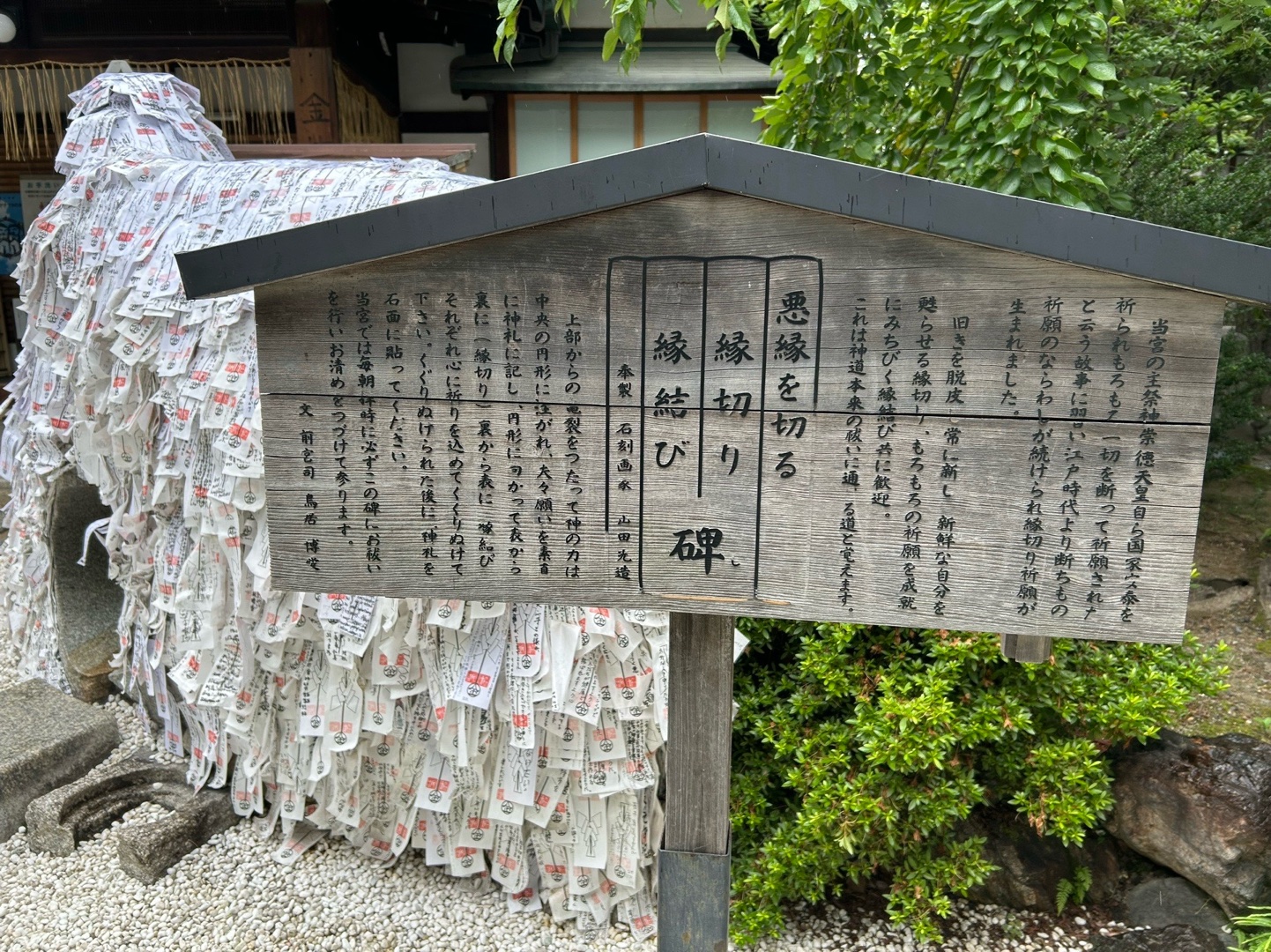 Yasui Konpiragu 3