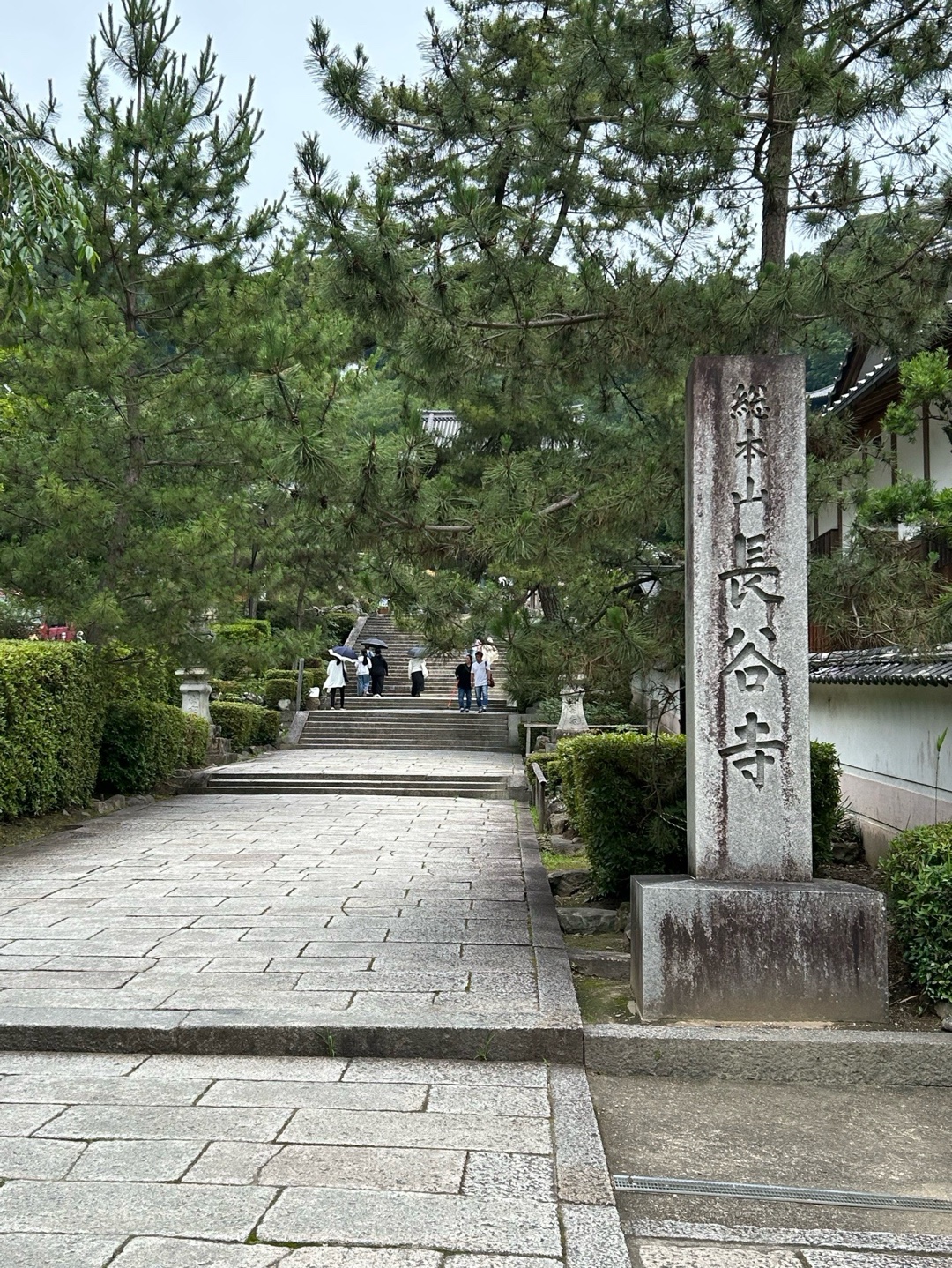 長谷寺 5