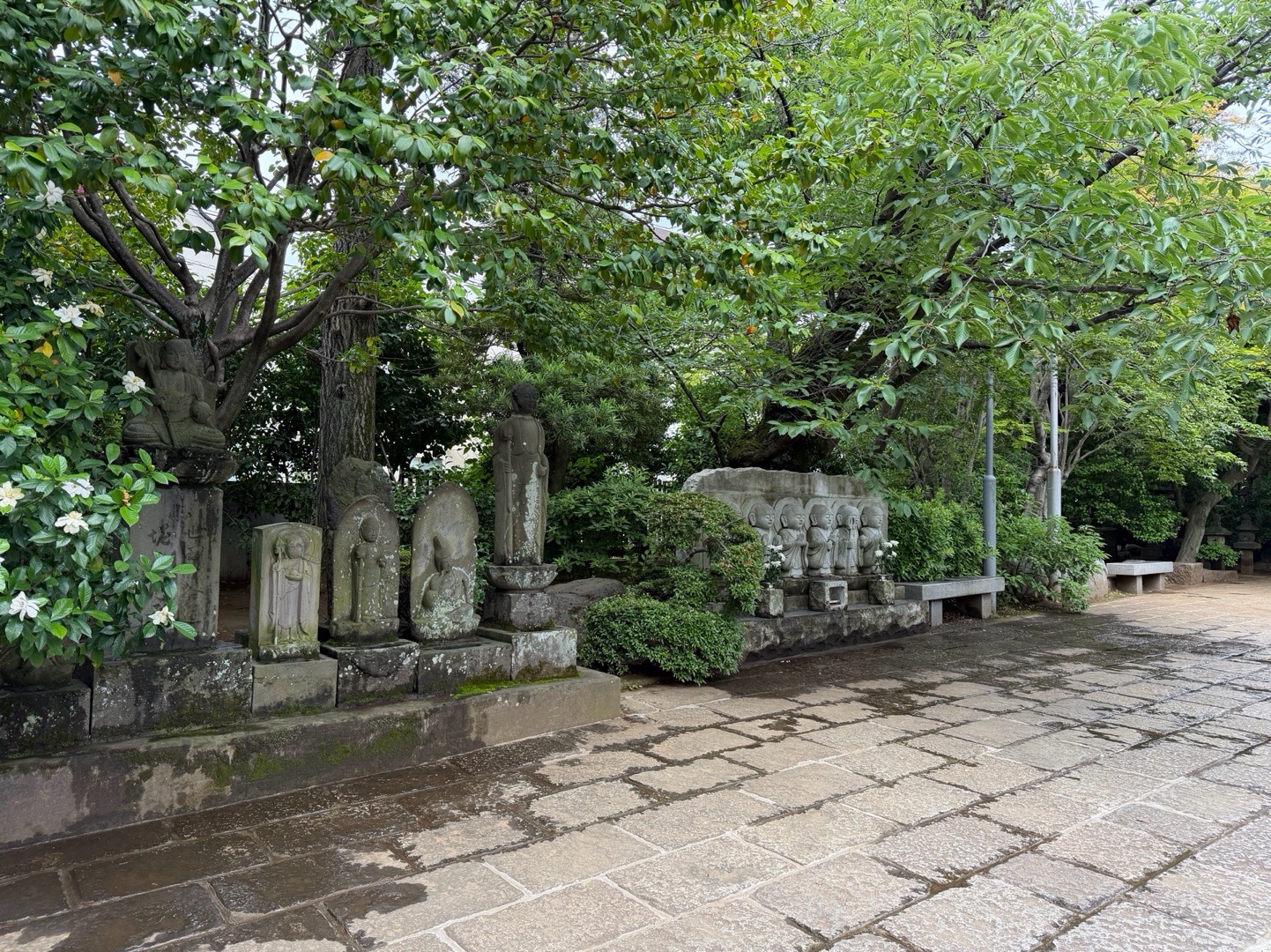 龍雲寺 3