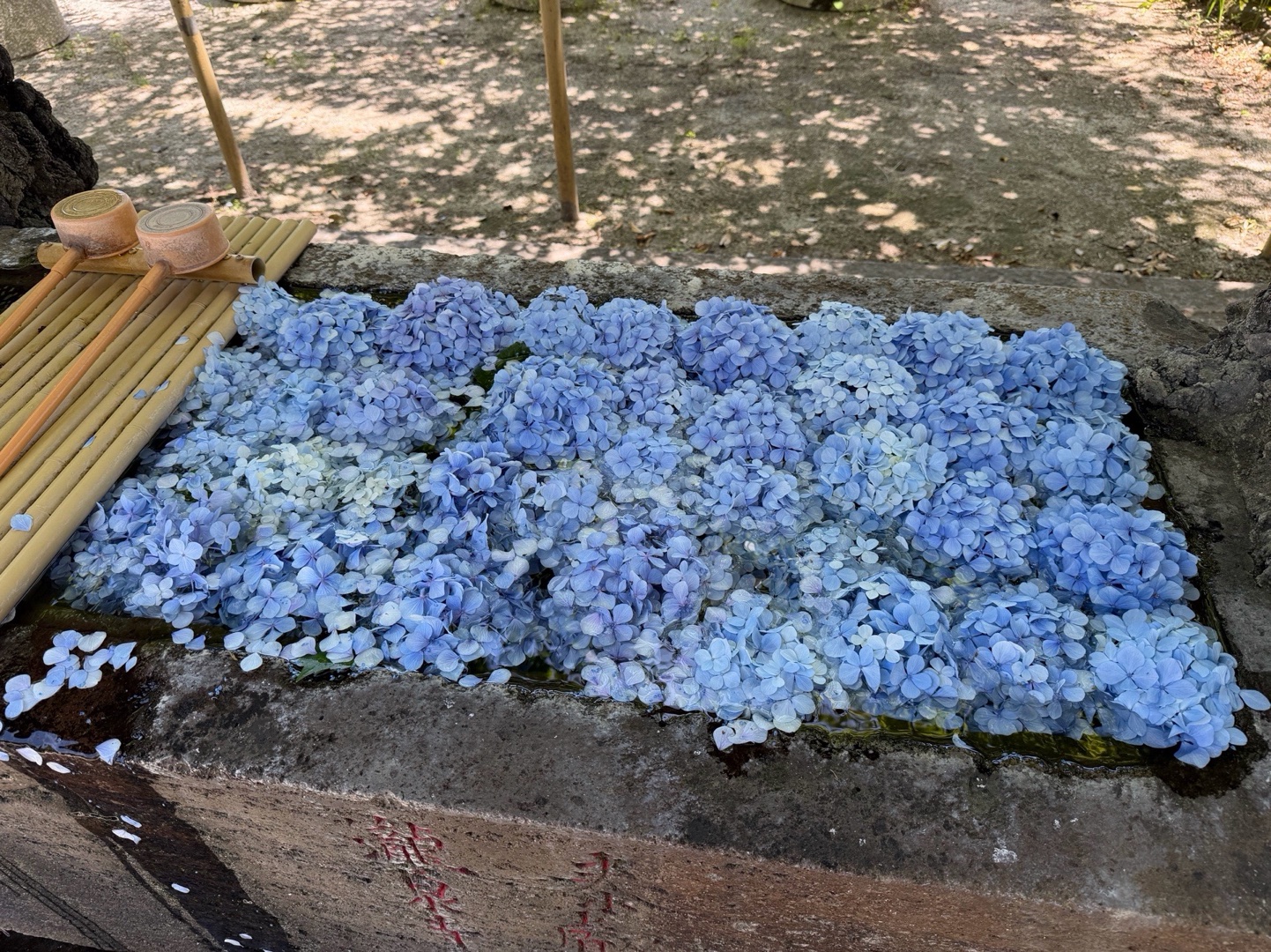 瀧泉寺（目黒不動尊） 7