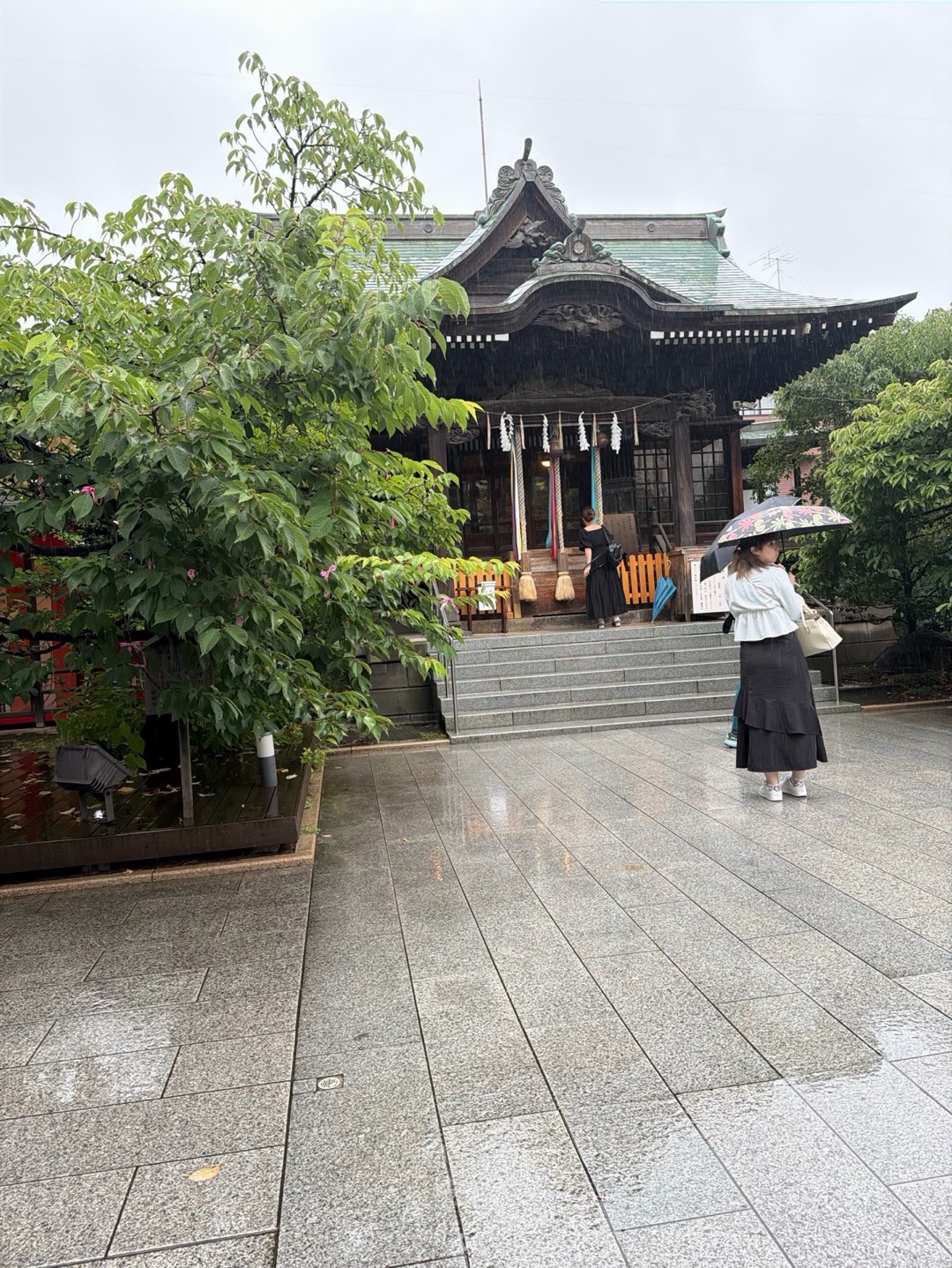 桜神宮 5