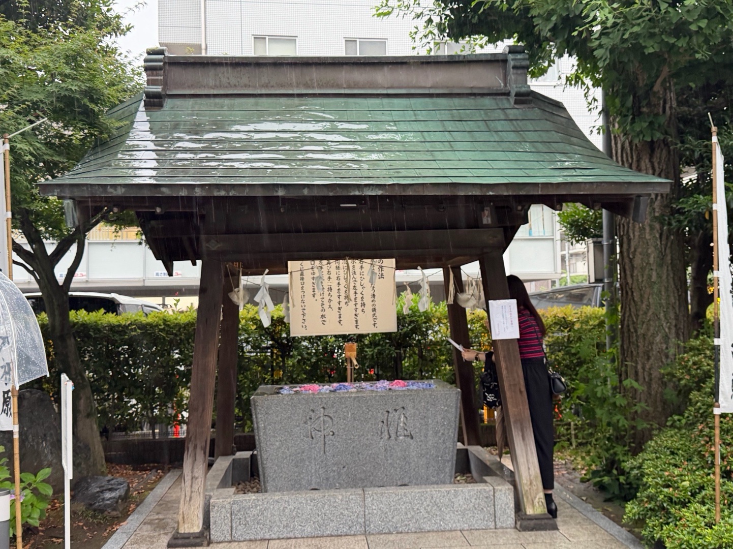 桜神宮 3