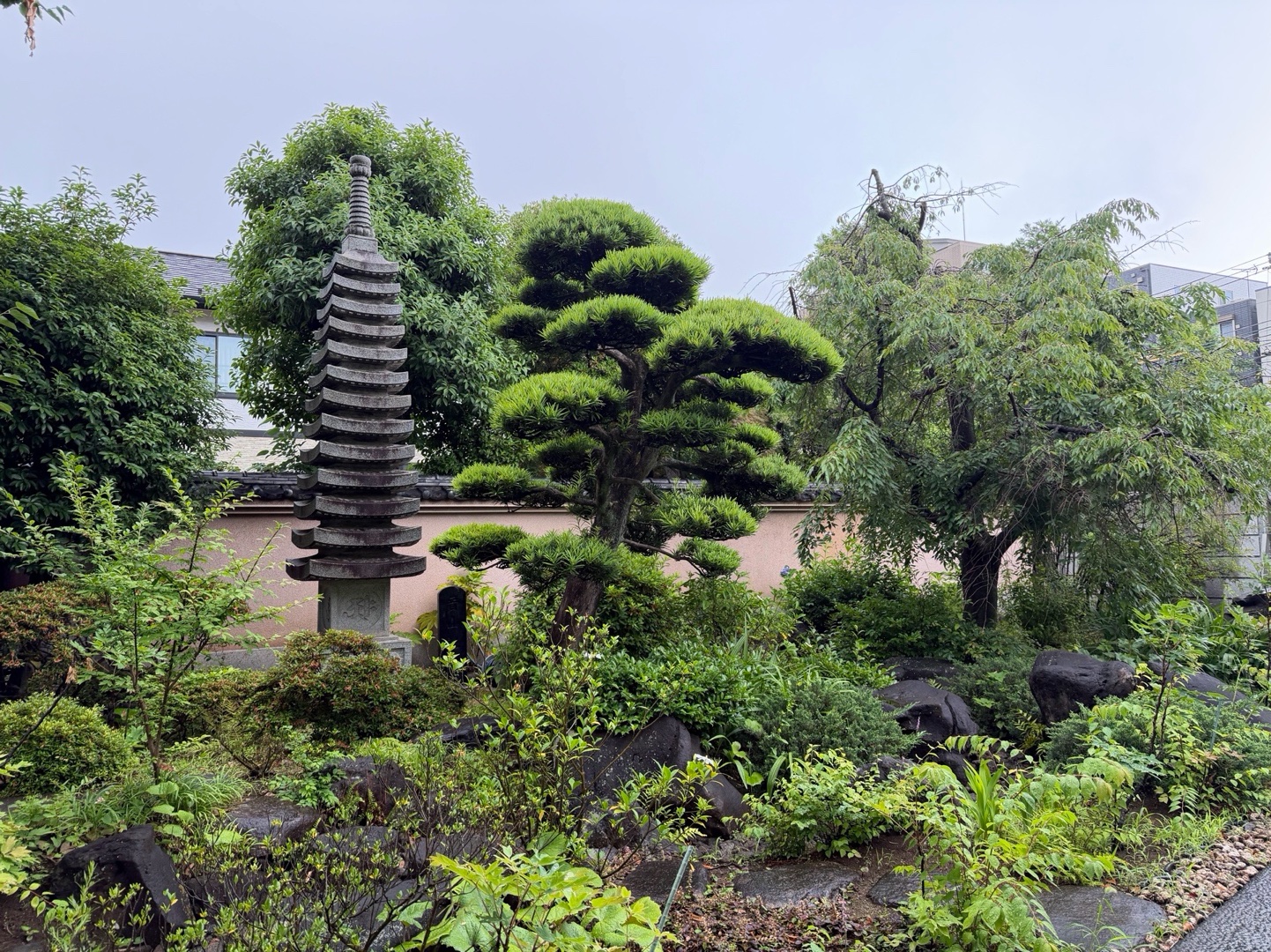 円光院 5