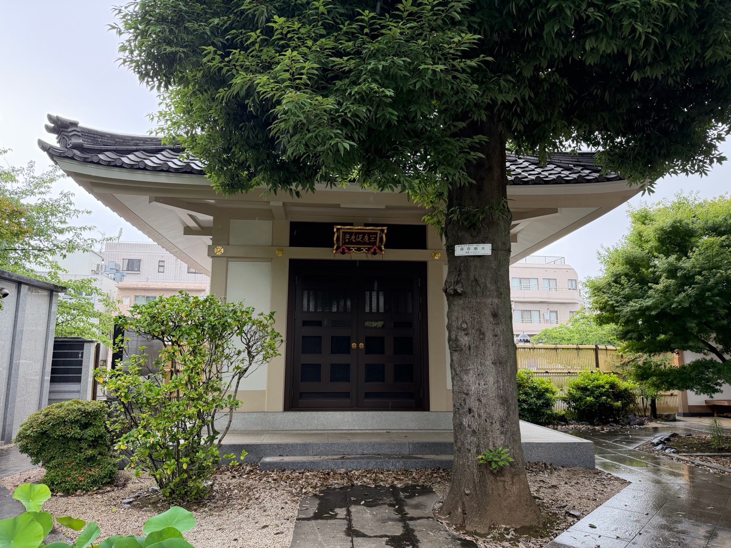 円光院 6