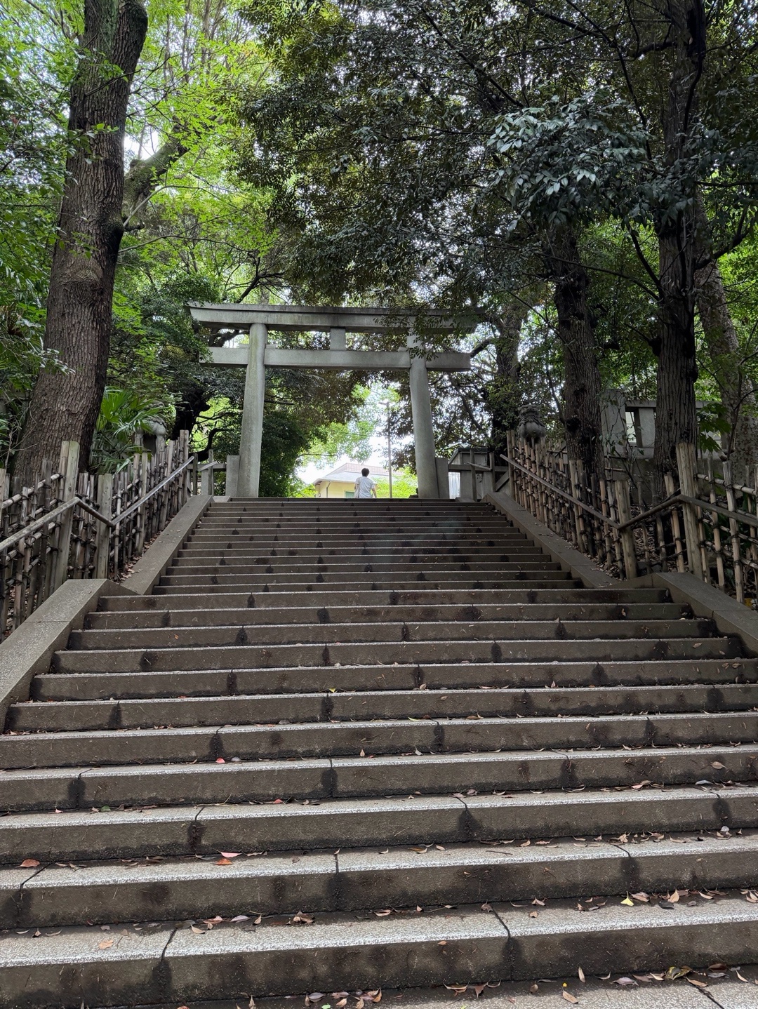渋谷氷川神社 4