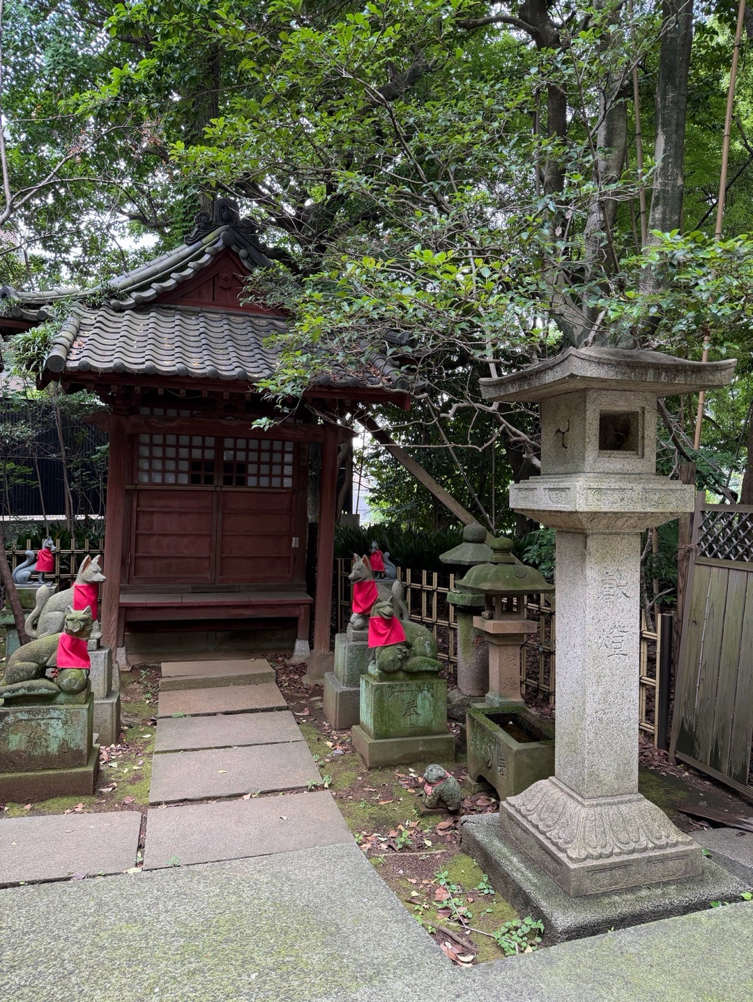 渋谷氷川神社 5