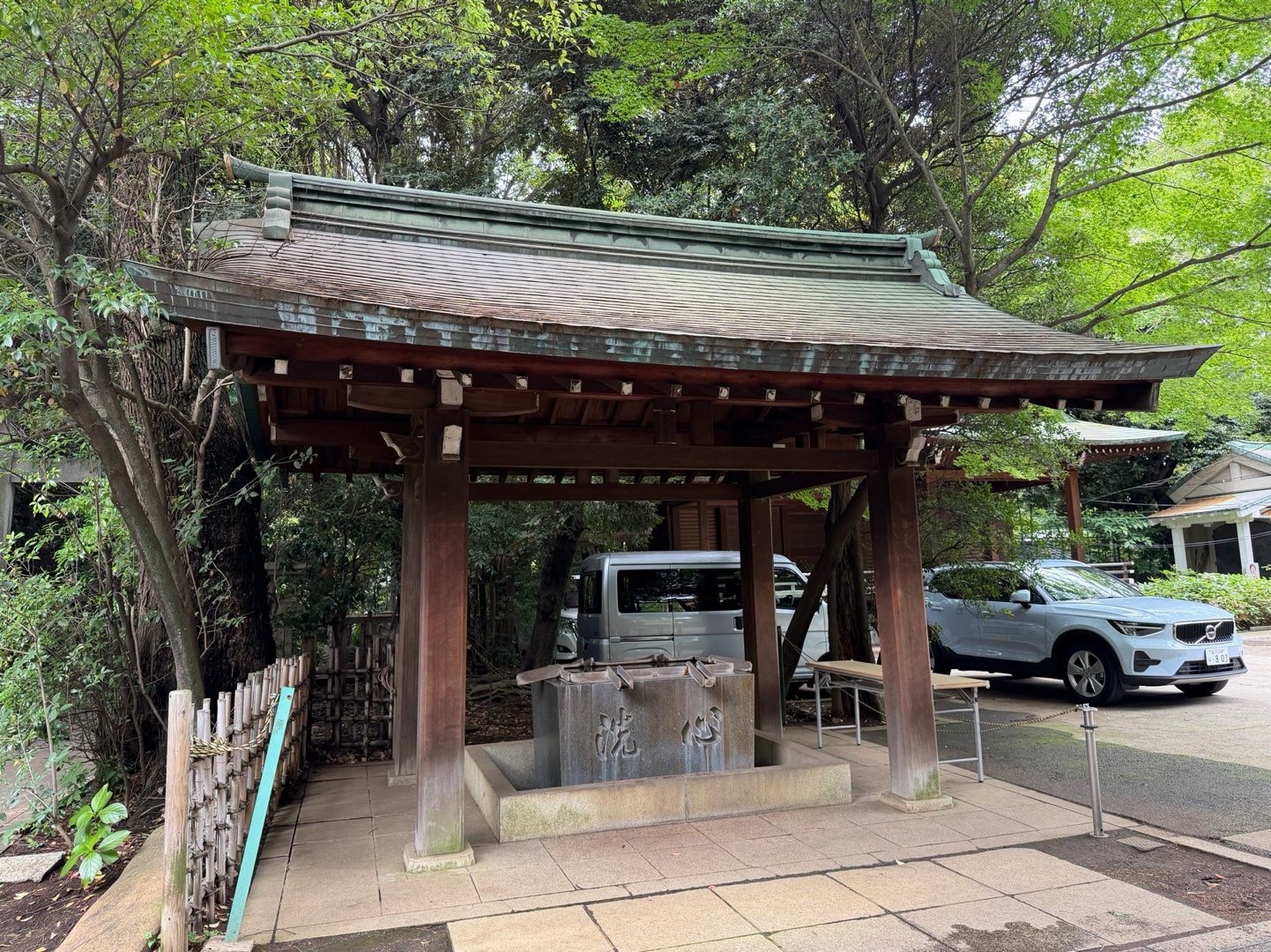 渋谷氷川神社 6