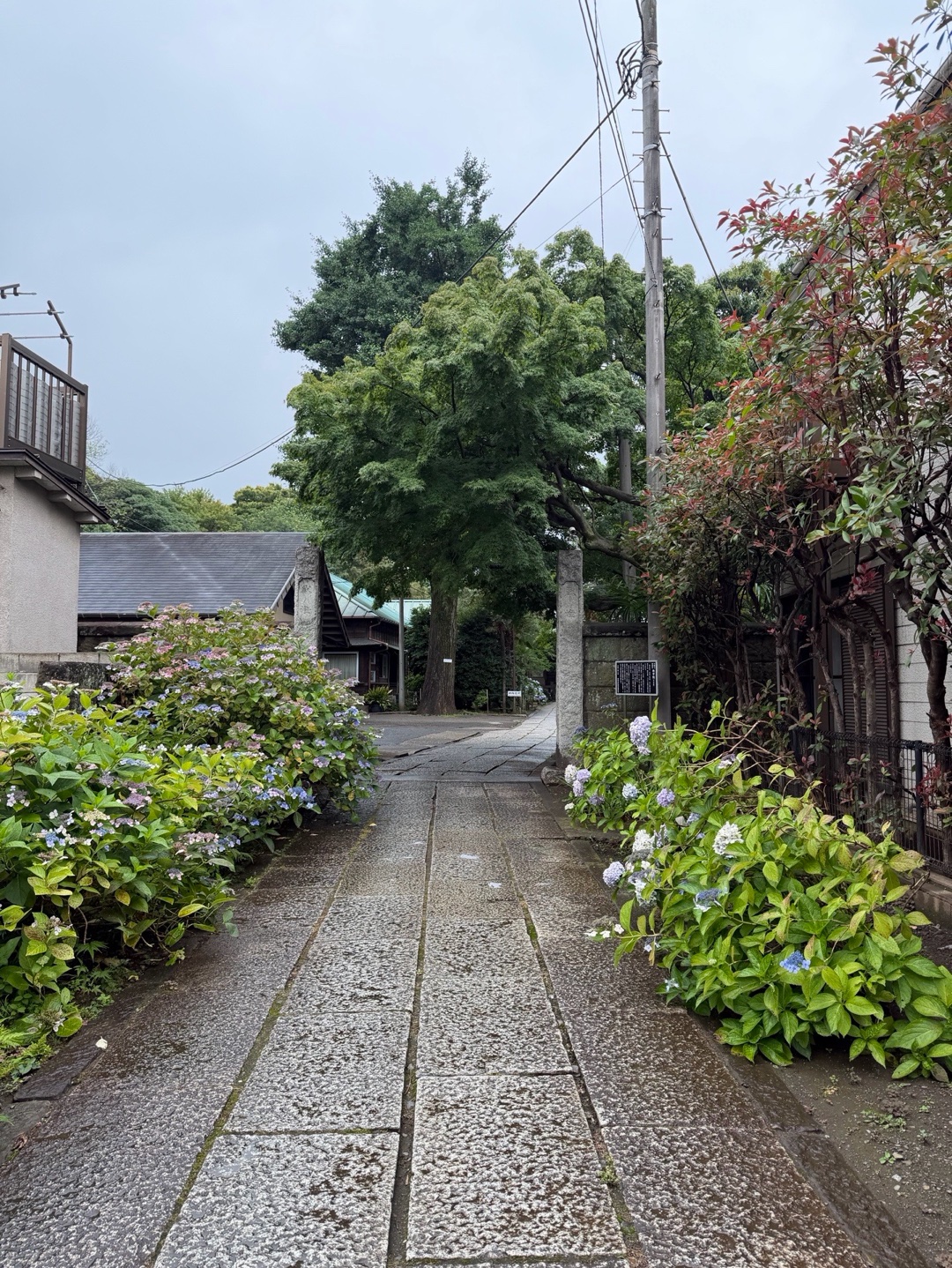 最勝寺教学院 (目青不動尊) 2