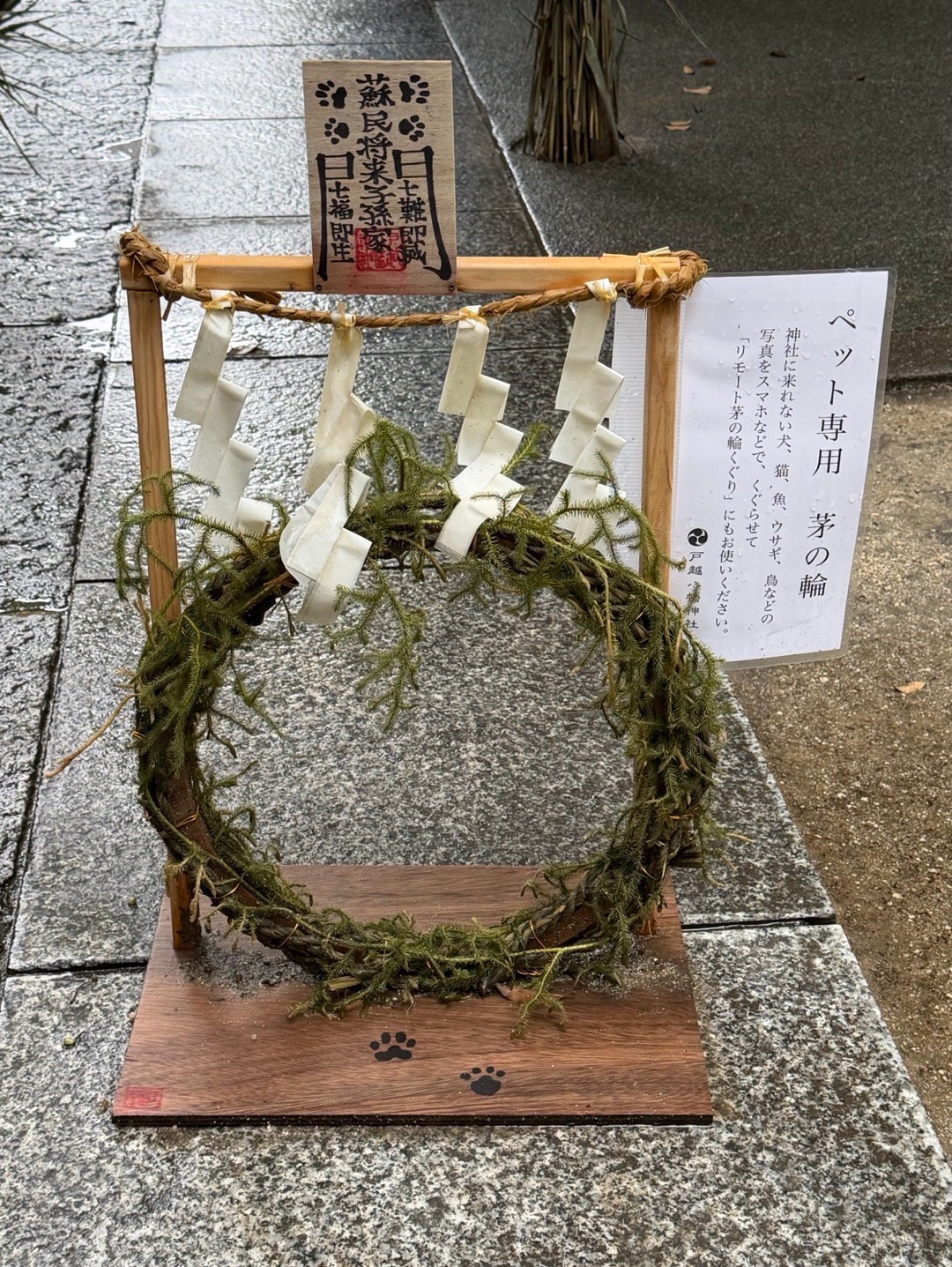 戸越八幡神社 6