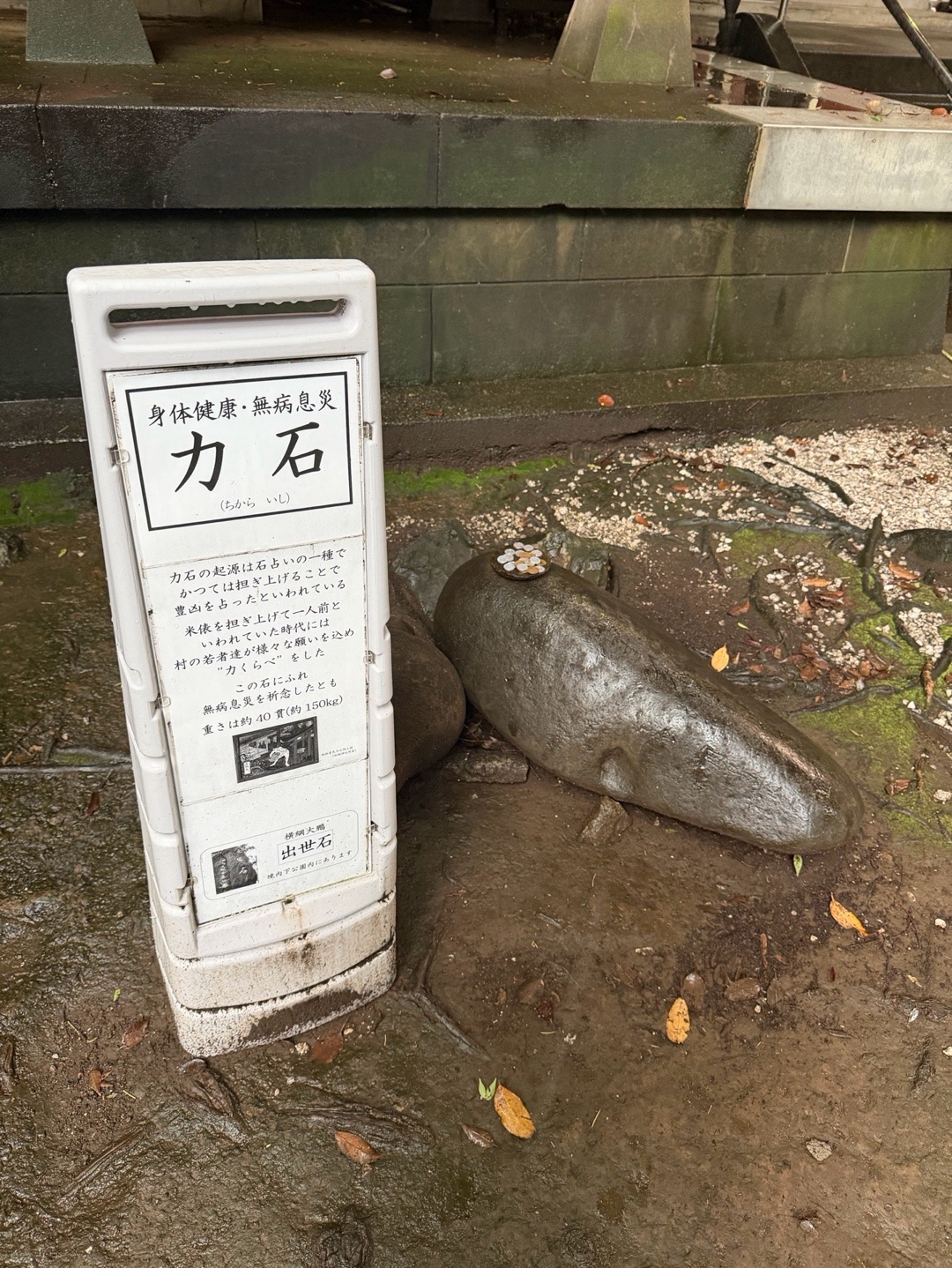 雪ヶ谷八幡神社 9
