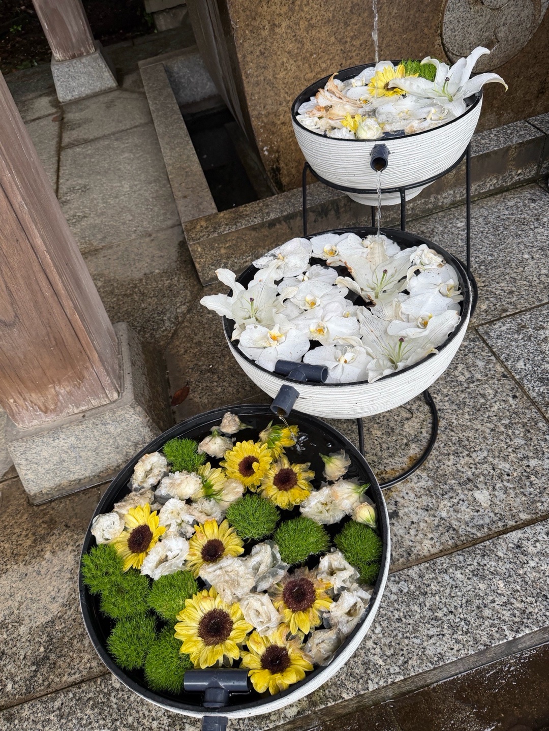 雪ヶ谷八幡神社 5