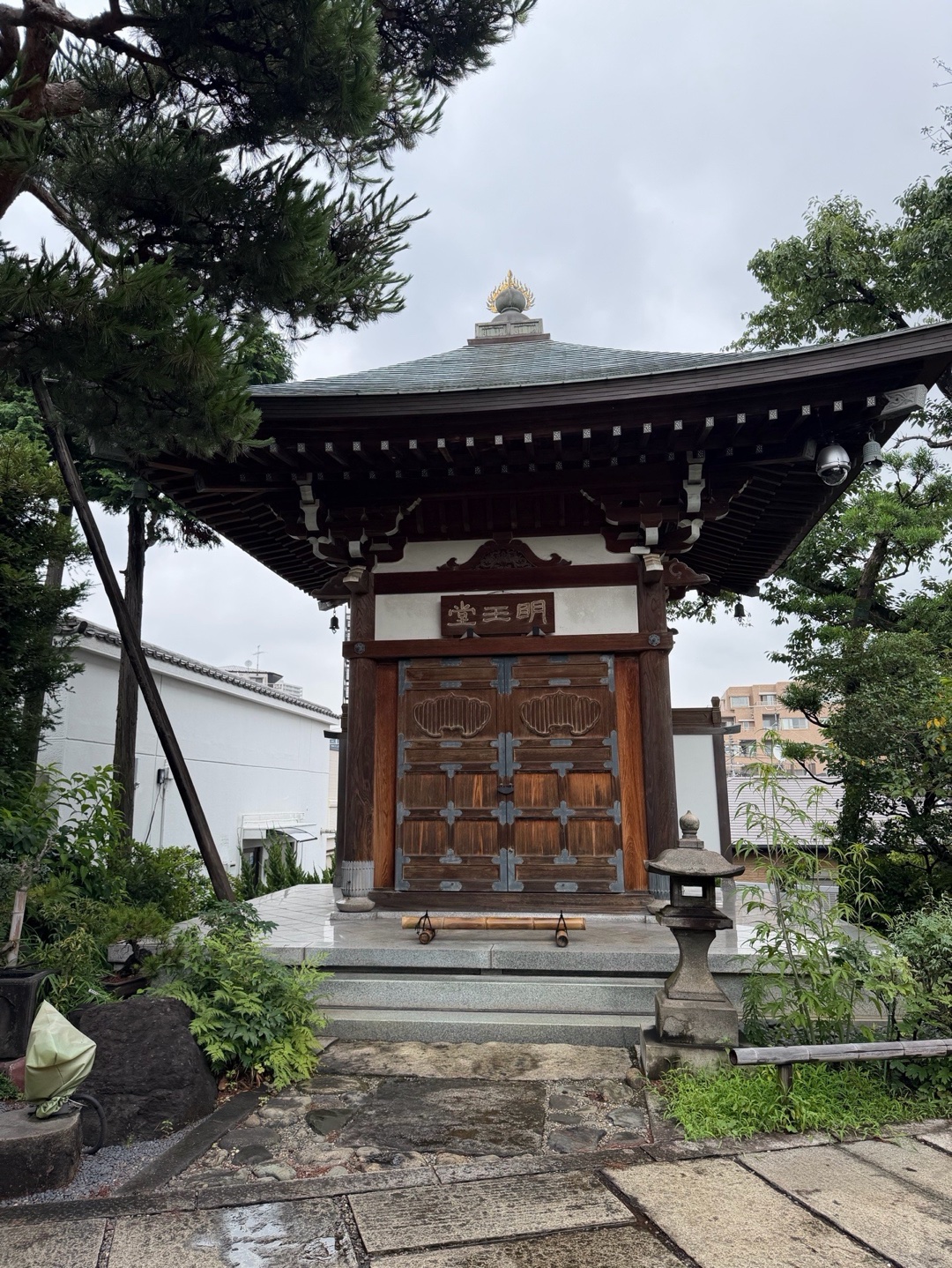 養玉院 如来寺 (大井の大仏) 3