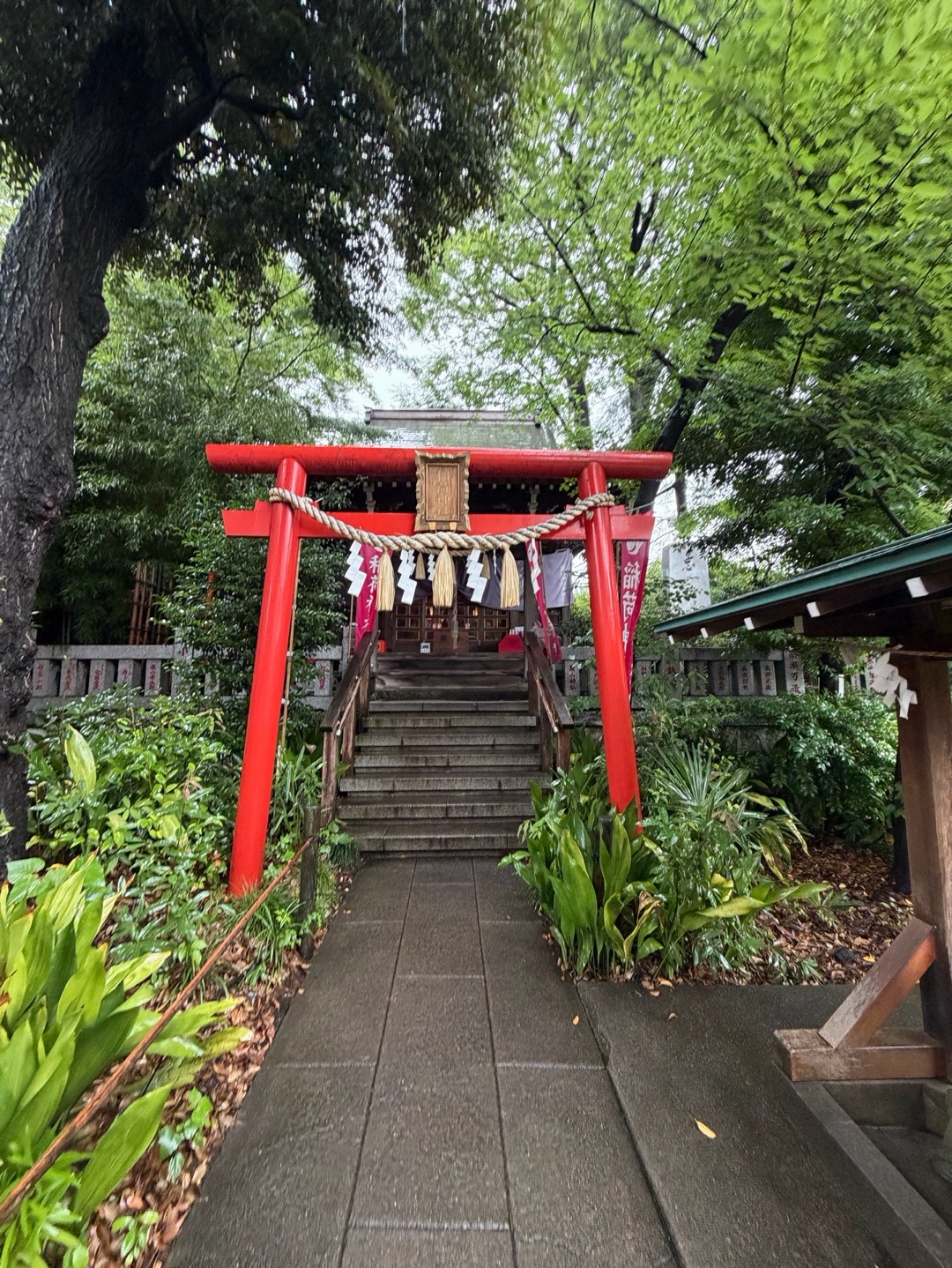 熊野神社 9