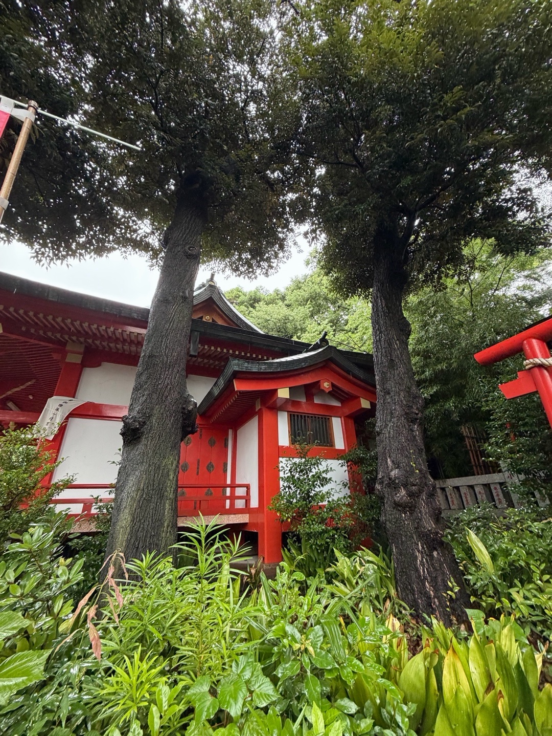 熊野神社 10