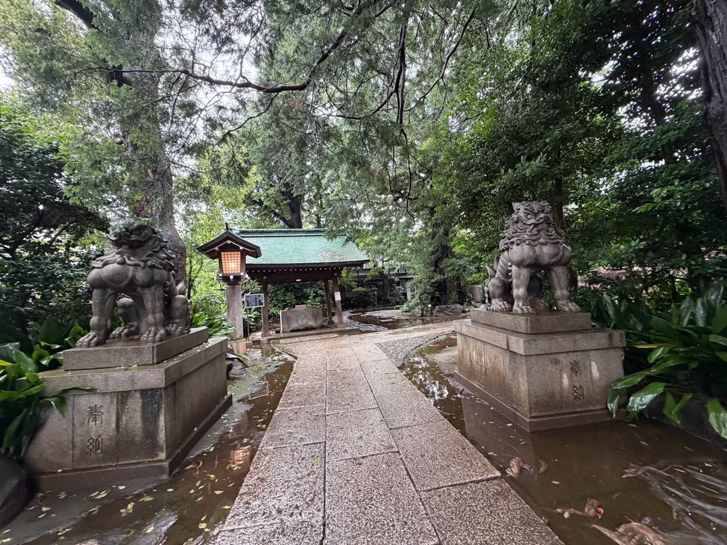 奥澤神社 6