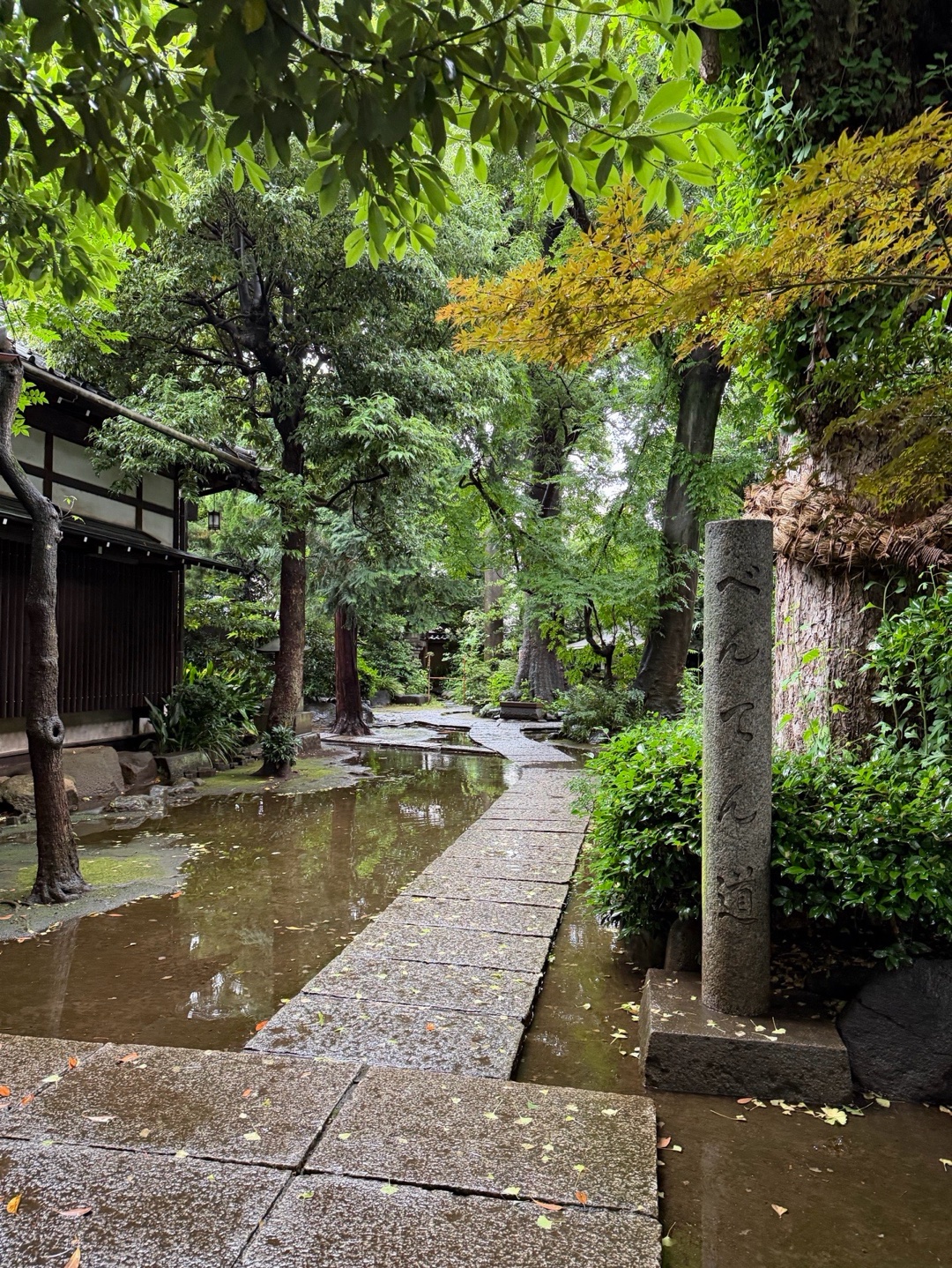 奥澤神社 9