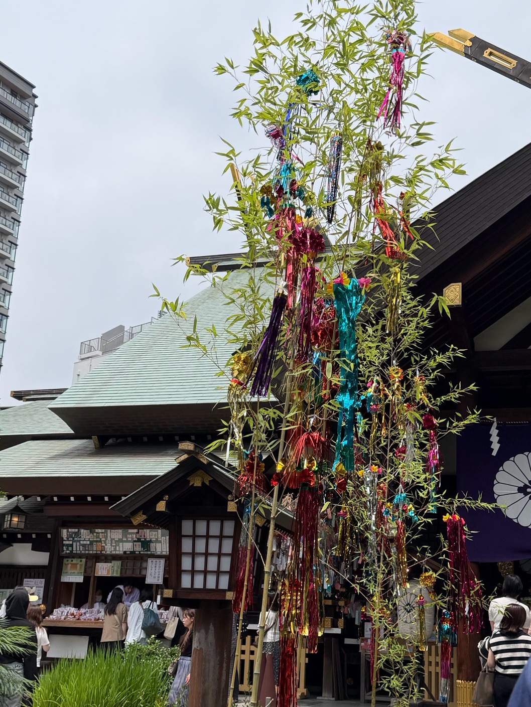 東京大神宮 8