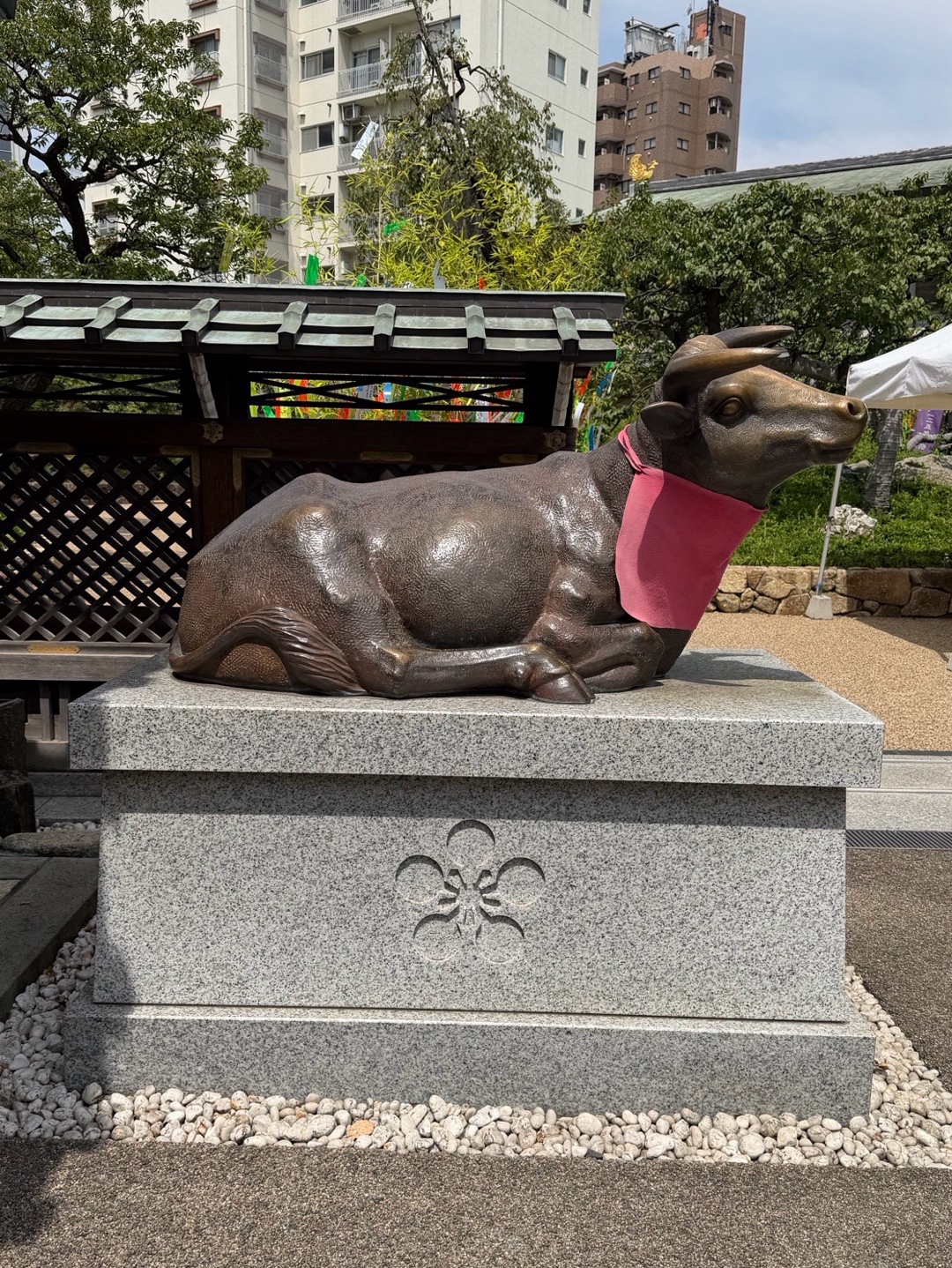 湯島天満宮 8